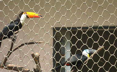 鳥語林專用繩網