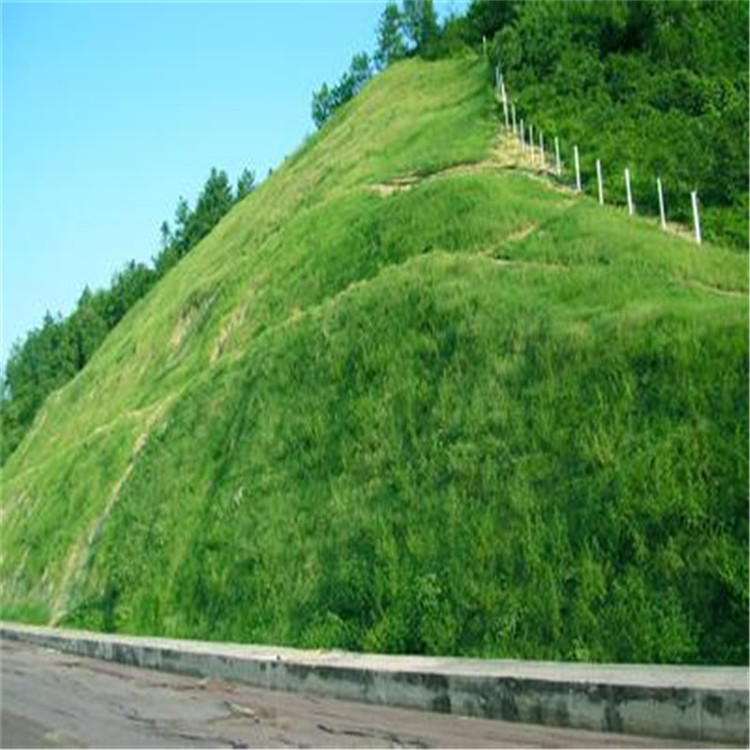 安裝勾花網的注意事項