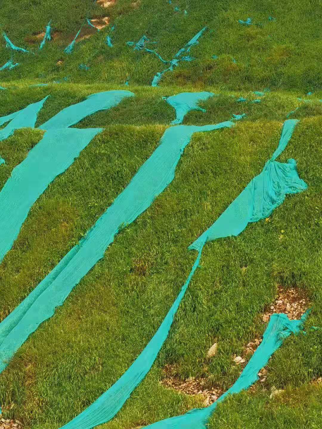 2749d1a8f6f60eea1d11de19ccafb8d.jpg 2749d1a8f6f60eea1d11de19ccafb8d.jpg