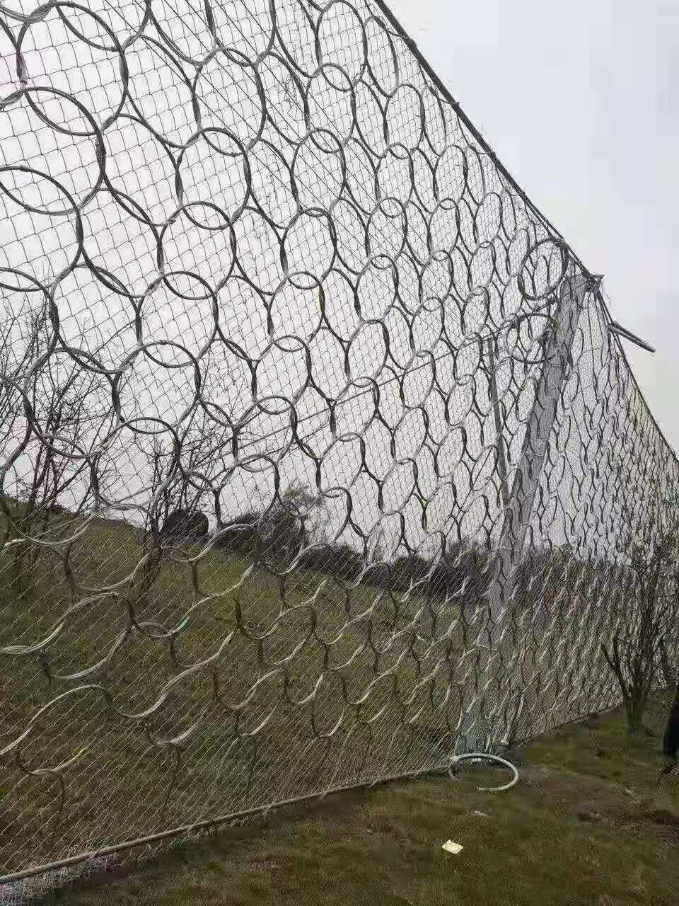 80b75d0fadcbf29a53632245e8ebb0a.jpg 80b75d0fadcbf29a53632245e8ebb0a.jpg